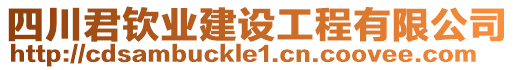 四川君欽業建設工程有限公司