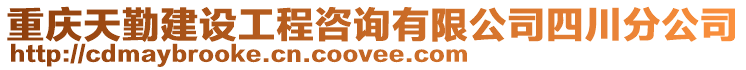 重慶天勤建設工程咨詢有限公司四川分公司