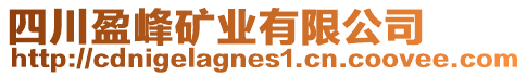 四川盈峰礦業(yè)有限公司