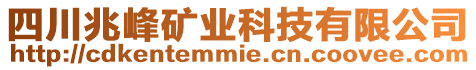 四川兆峰礦業(yè)科技有限公司