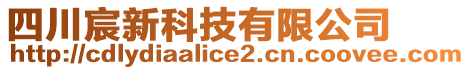 四川宸新科技有限公司