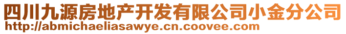 四川九源房地產(chǎn)開發(fā)有限公司小金分公司