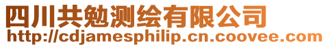 四川共勉測繪有限公司