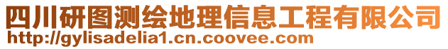 四川研圖測繪地理信息工程有限公司