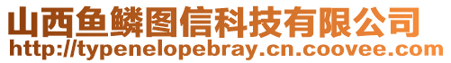 山西魚鱗圖信科技有限公司