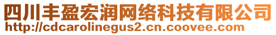 四川豐盈宏潤網(wǎng)絡(luò)科技有限公司