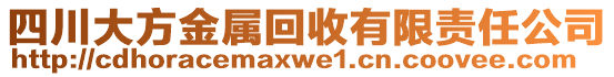 四川大方金屬回收有限責(zé)任公司