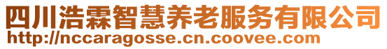 四川浩霖智慧養(yǎng)老服務有限公司