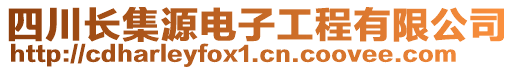 四川長(zhǎng)集源電子工程有限公司