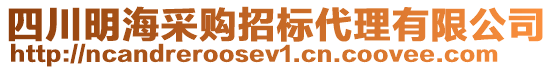 四川明海采購招標代理有限公司