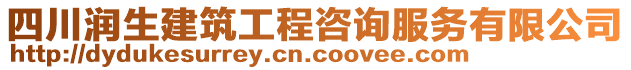 四川潤生建筑工程咨詢服務有限公司