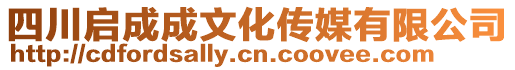 四川啟成成文化傳媒有限公司