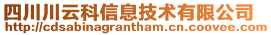 四川川云科信息技術(shù)有限公司