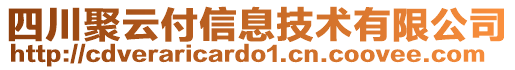 四川聚云付信息技術(shù)有限公司