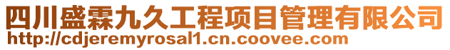 四川盛霖九久工程項目管理有限公司