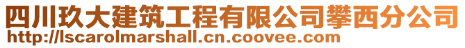 四川玖大建筑工程有限公司攀西分公司