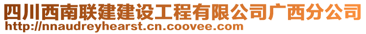 四川西南聯(lián)建建設工程有限公司廣西分公司