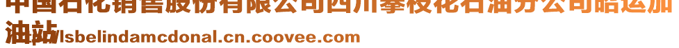 中國(guó)石化銷售股份有限公司四川攀枝花石油分公司昭運(yùn)加
油站