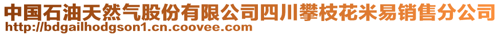 中國(guó)石油天然氣股份有限公司四川攀枝花米易銷售分公司