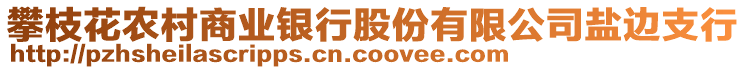 攀枝花农村商业银行股份有限公司盐边支行