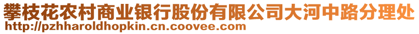 攀枝花農(nóng)村商業(yè)銀行股份有限公司大河中路分理處