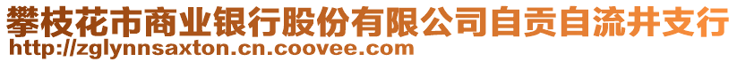 攀枝花市商業(yè)銀行股份有限公司自貢自流井支行