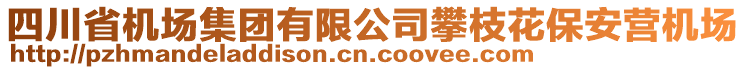 四川省機(jī)場(chǎng)集團(tuán)有限公司攀枝花保安營(yíng)機(jī)場(chǎng)