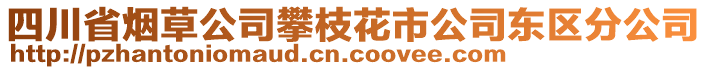 四川省煙草公司攀枝花市公司東區(qū)分公司