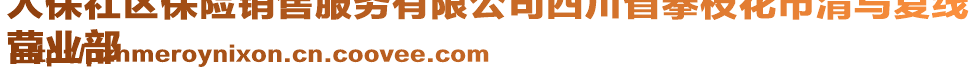 人保社區(qū)保險(xiǎn)銷售服務(wù)有限公司四川省攀枝花市清烏復(fù)線
營業(yè)部