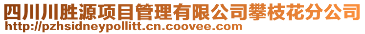 四川川勝源項目管理有限公司攀枝花分公司