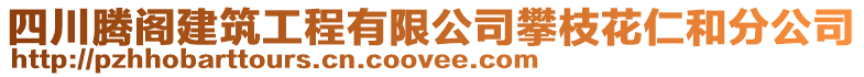 四川騰閣建筑工程有限公司攀枝花仁和分公司