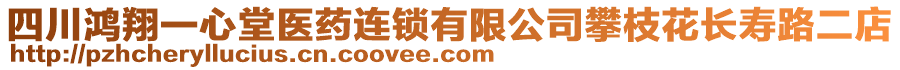 四川鴻翔一心堂醫(yī)藥連鎖有限公司攀枝花長壽路二店