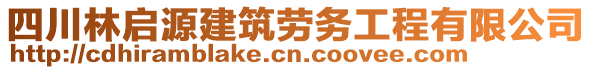 四川林啟源建筑勞務(wù)工程有限公司