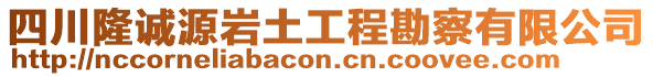 四川隆誠源巖土工程勘察有限公司