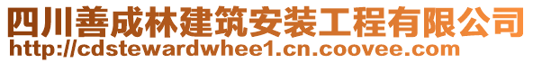 四川善成林建筑安裝工程有限公司