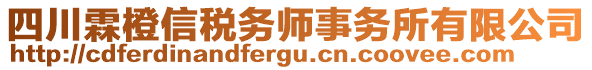 四川霖橙信稅務(wù)師事務(wù)所有限公司