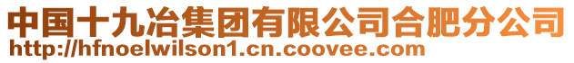 中國十九冶集團有限公司合肥分公司