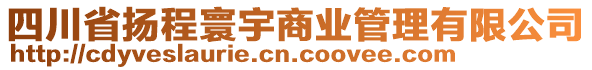 四川省揚程寰宇商業(yè)管理有限公司