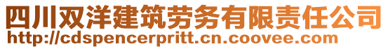 四川雙洋建筑勞務(wù)有限責(zé)任公司