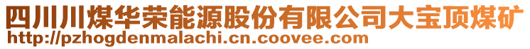 四川川煤華榮能源股份有限公司大寶頂煤礦