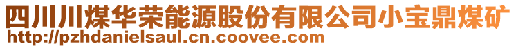 四川川煤華榮能源股份有限公司小寶鼎煤礦