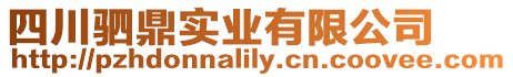四川駟鼎實業有限公司
