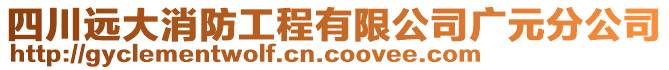 四川遠大消防工程有限公司廣元分公司