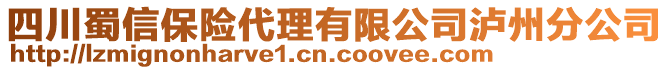 四川蜀信保險(xiǎn)代理有限公司瀘州分公司