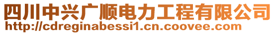 四川中興廣順電力工程有限公司