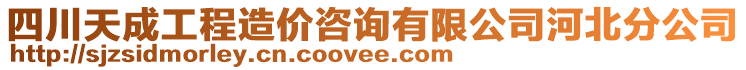 四川天成工程造價(jià)咨詢有限公司河北分公司