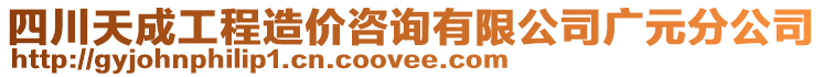 四川天成工程造價(jià)咨詢有限公司廣元分公司