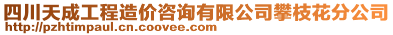 四川天成工程造價(jià)咨詢有限公司攀枝花分公司