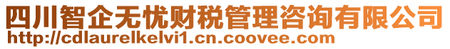 四川智企無憂財(cái)稅管理咨詢有限公司