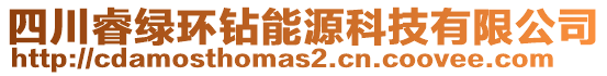 四川睿綠環(huán)鉆能源科技有限公司